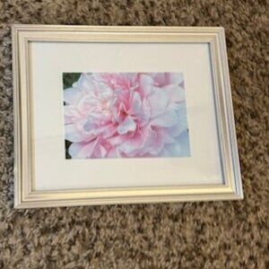 Peony photo print 9x11